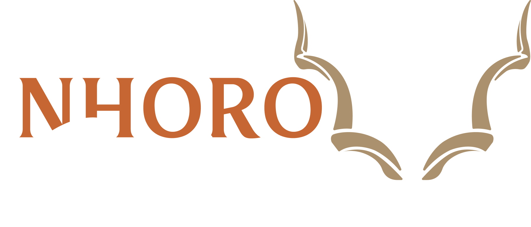Nhoro Safaris