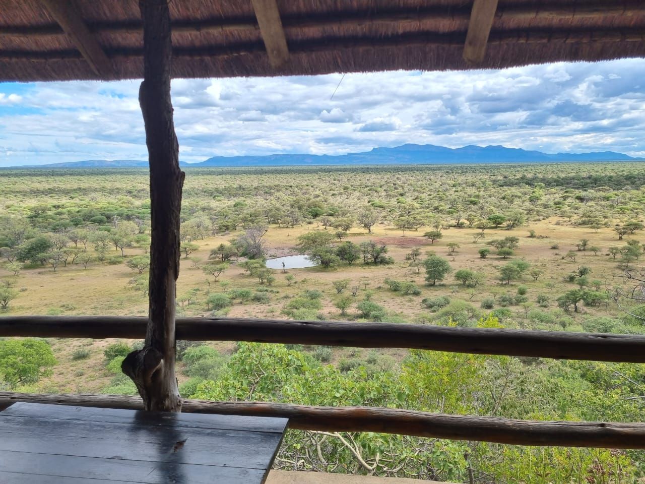 View from the lodge veranda out across the Limpopo hunting property, South Africa