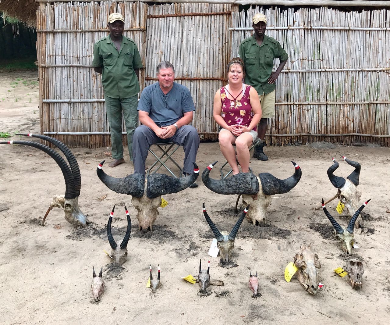 Trophies from a combined Limpopo plains game and Zambezi Delta buffalo safari with Nhoro Safaris