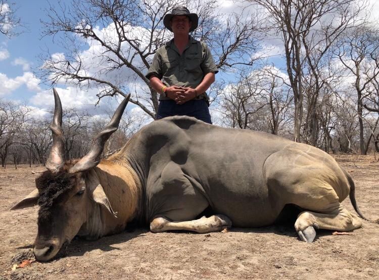 Hunting client with a mature eland bull taken on a Limpopo safari with Nhoro Safaris