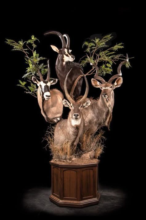 Pedestal taxidermy mount of plains game trophies including kudu, gemsbok, waterbuck, nyala and impala
