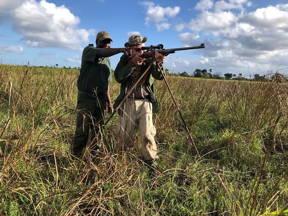 Hunter steadied on shooting sticks with his professional hunter beside him in long grass, Zimbabwe