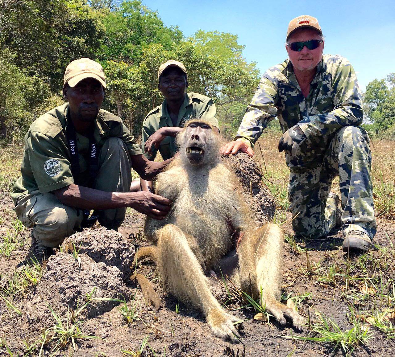 Hunting client, professional hunter and tracker with a mature chacma baboon male taken in the Limpopo bushveld, South Africa