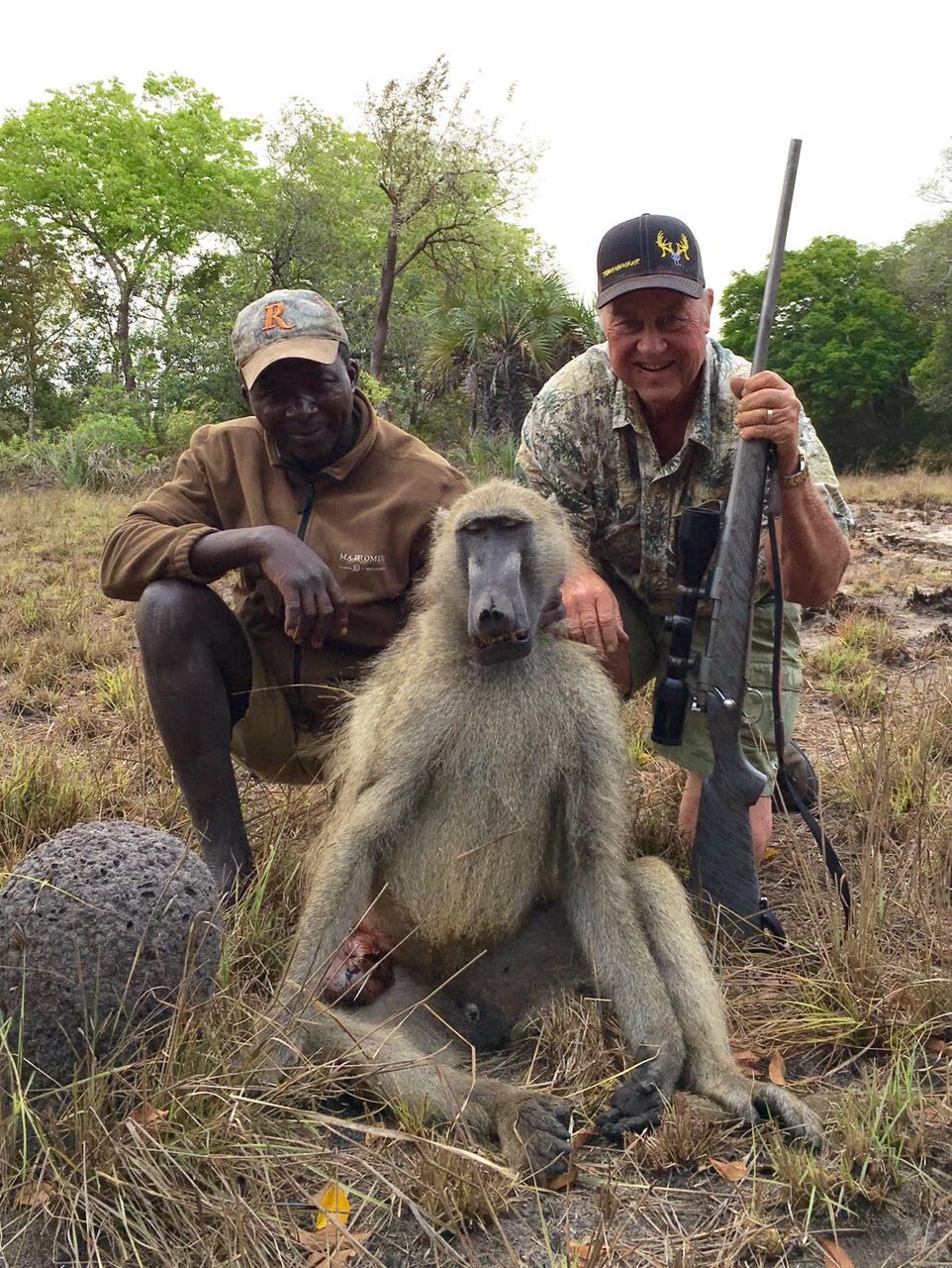 Hunter and tracker with a mature chacma baboon male taken in Limpopo, South Africa