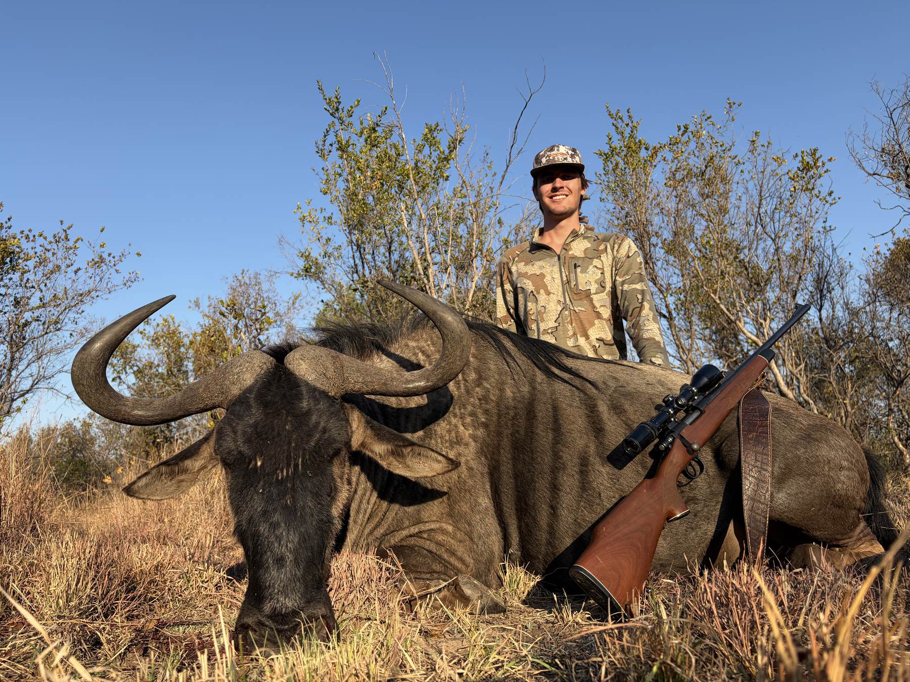 Detail of the hardened corrugated boss of a mature blue wildebeest bull