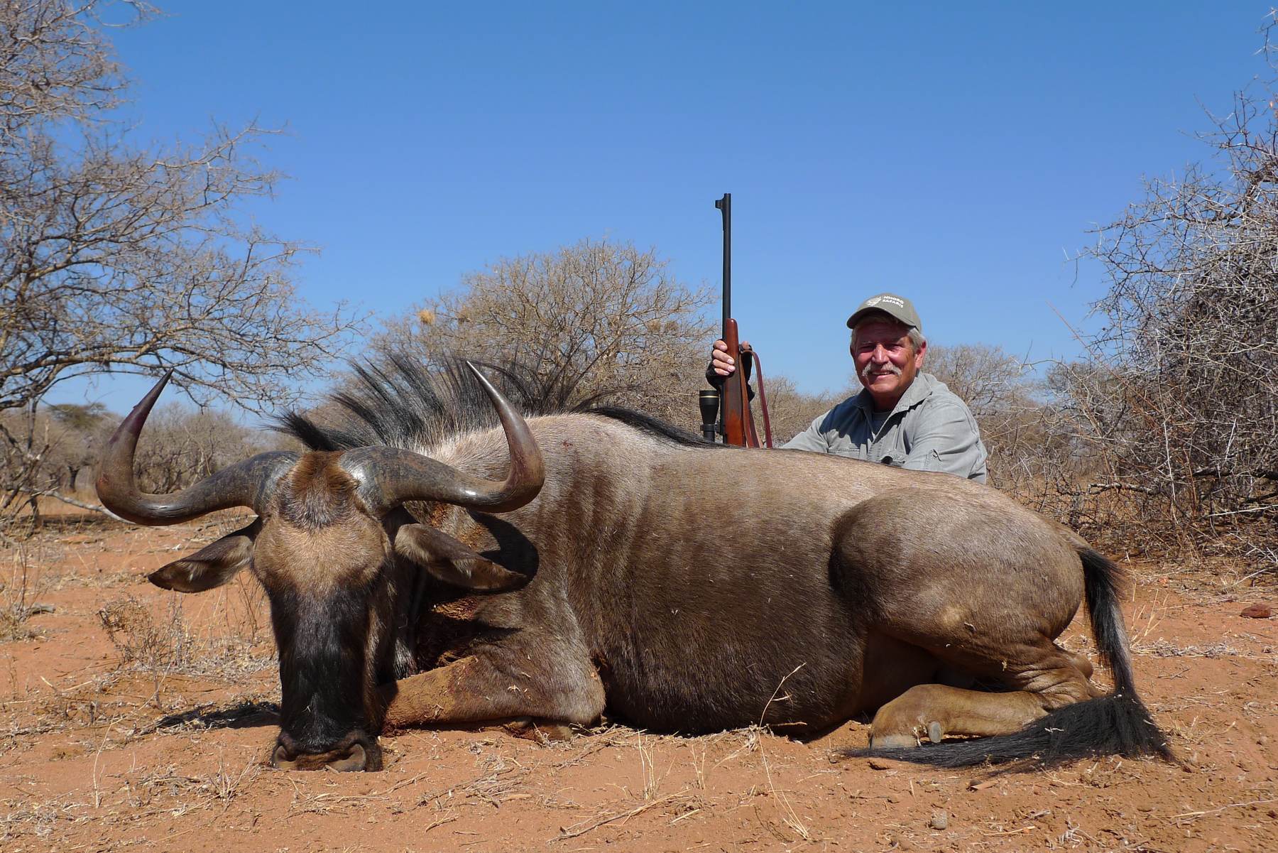 Hunter standing behind a blue wildebeest bull on dry Limpopo ground, South Africa