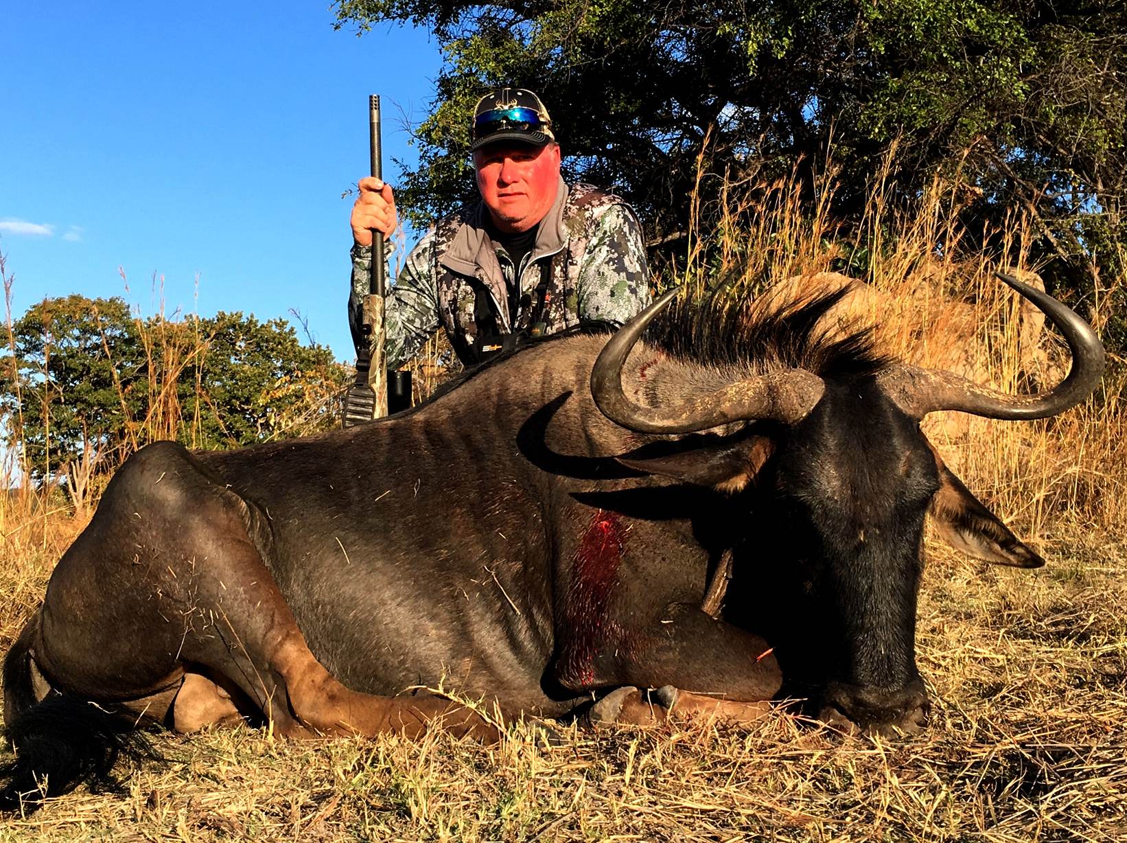 Hunter with a blue wildebeest bull taken in long grass, Limpopo, South Africa