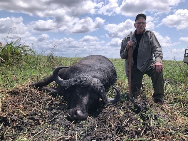 Hunter with a Cape buffalo bull taken on burnt ground in the Zambezi Delta, Mozambique