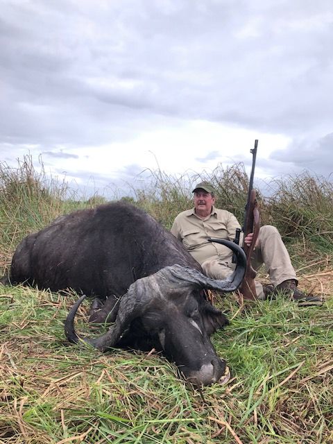 Cape buffalo bull taken in Delta grass, Zambezi Delta, Mozambique