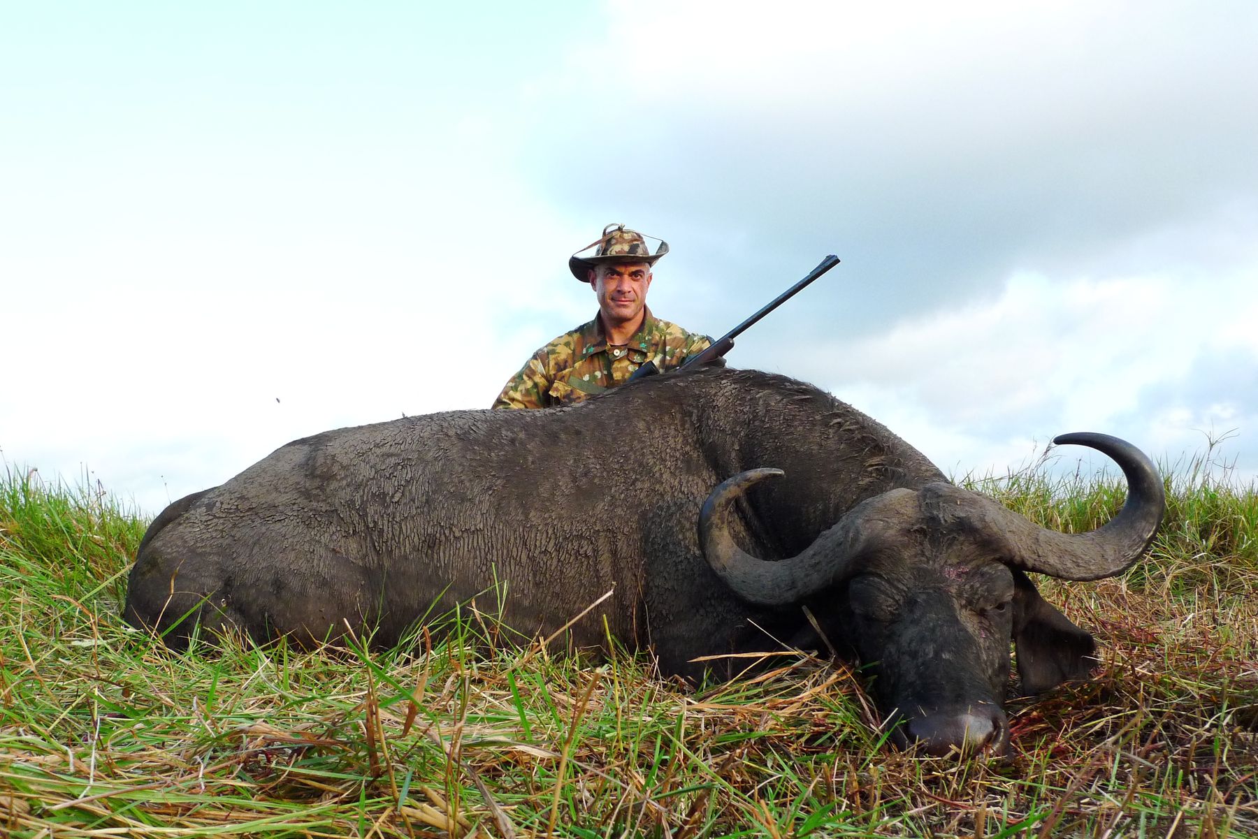 Cape buffalo bull on the open Zambezi Delta floodplain, Mozambique
