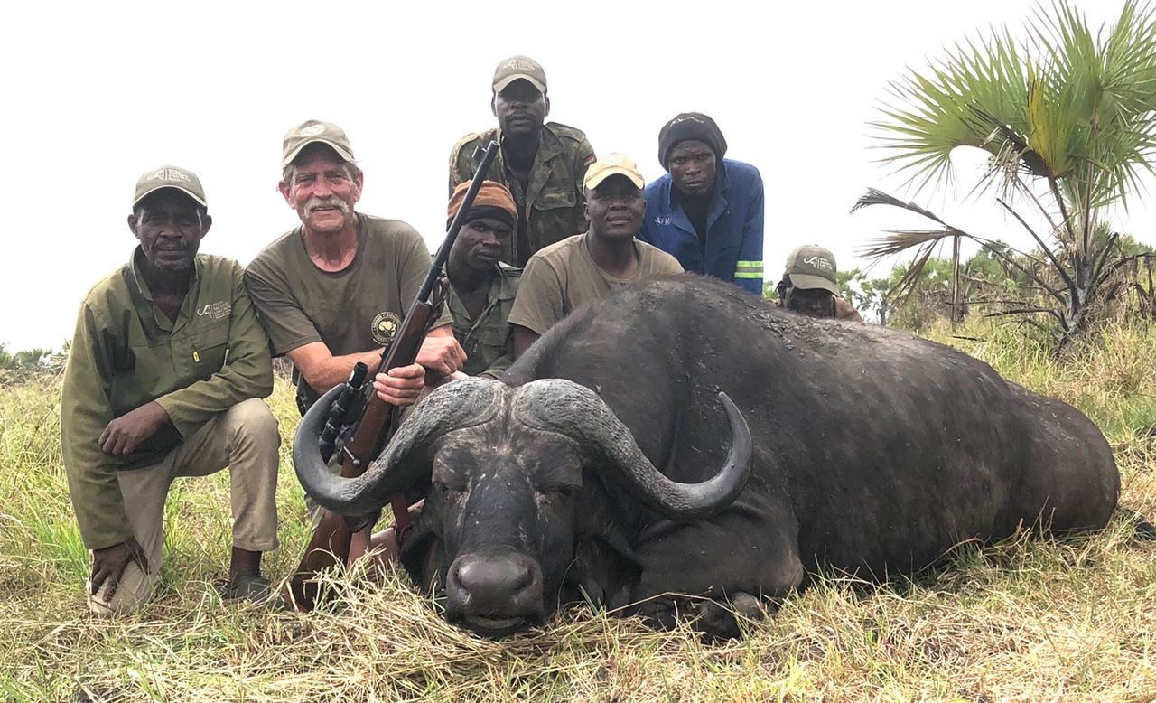 Full hunting and tracking team with a Cape buffalo bull, Zambezi Delta, Mozambique