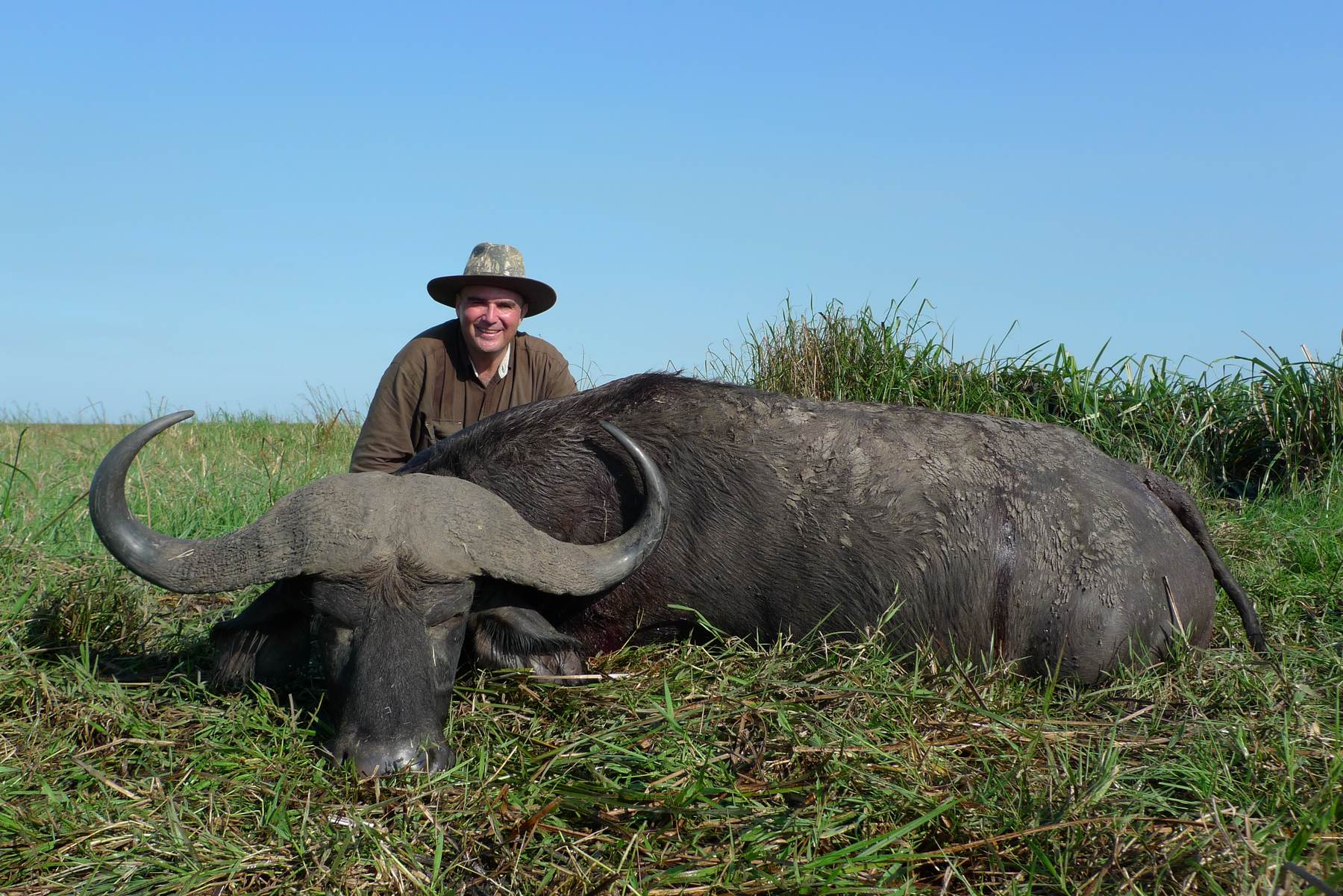 Hunter with a heavy-bodied Cape buffalo bull, Zambezi Delta, Mozambique