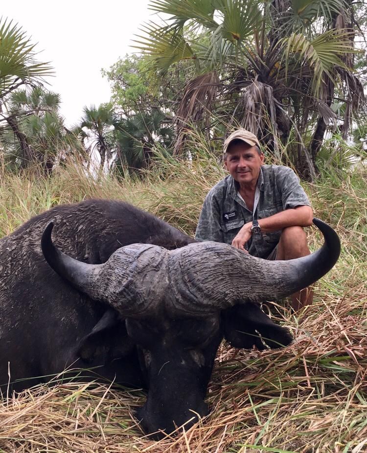 Hunting client with a heavy-bossed Cape buffalo bull taken in the Zambezi Delta, Mozambique