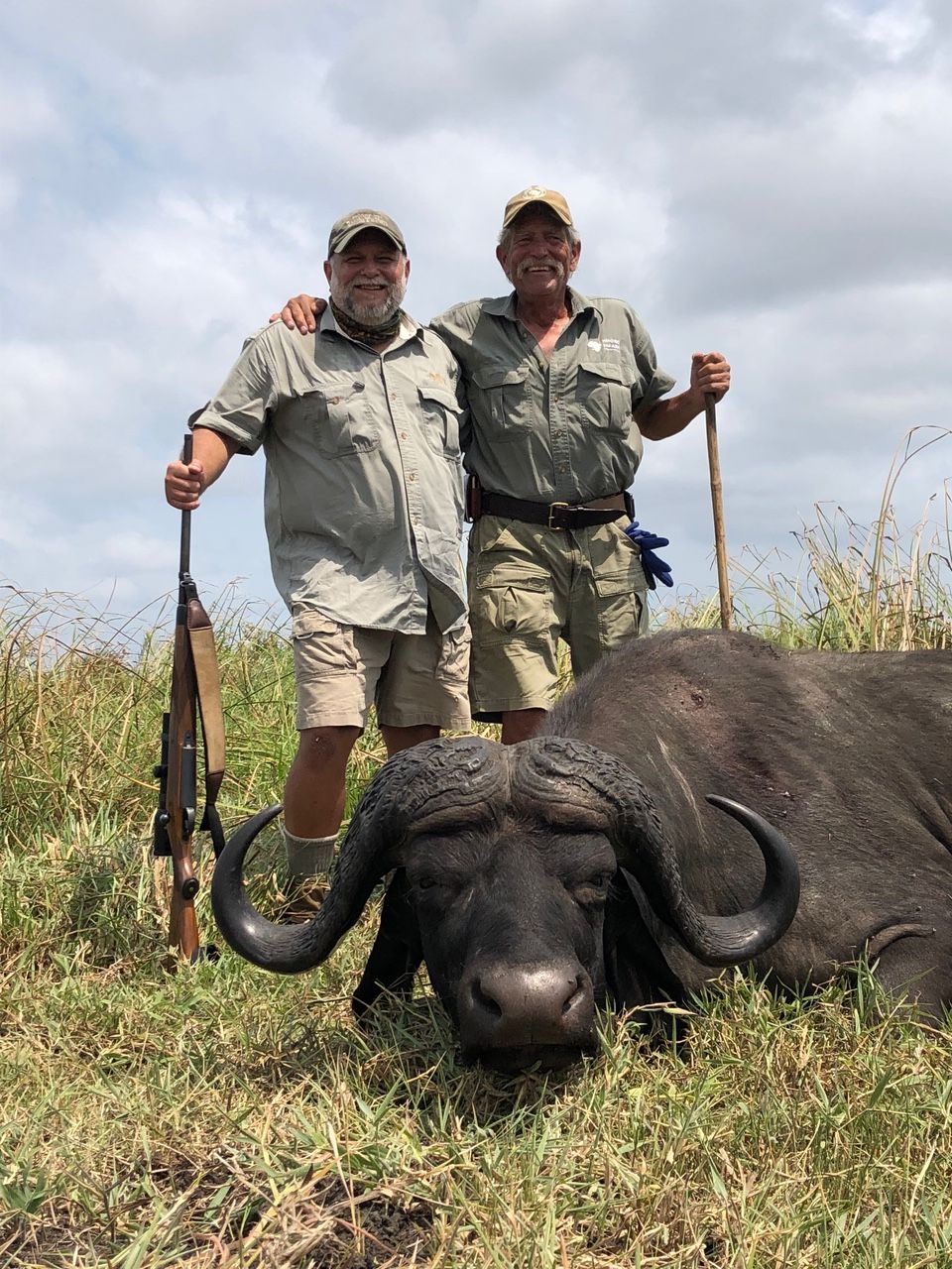 Hunting client and tracker standing over a Cape buffalo bull, Zambezi Delta, Mozambique