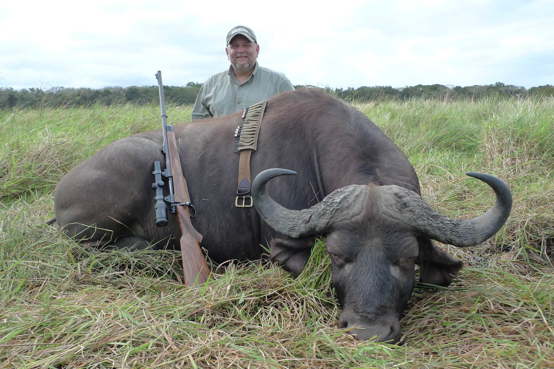 Hunter behind a Cape buffalo bull in green Delta grass, Mozambique