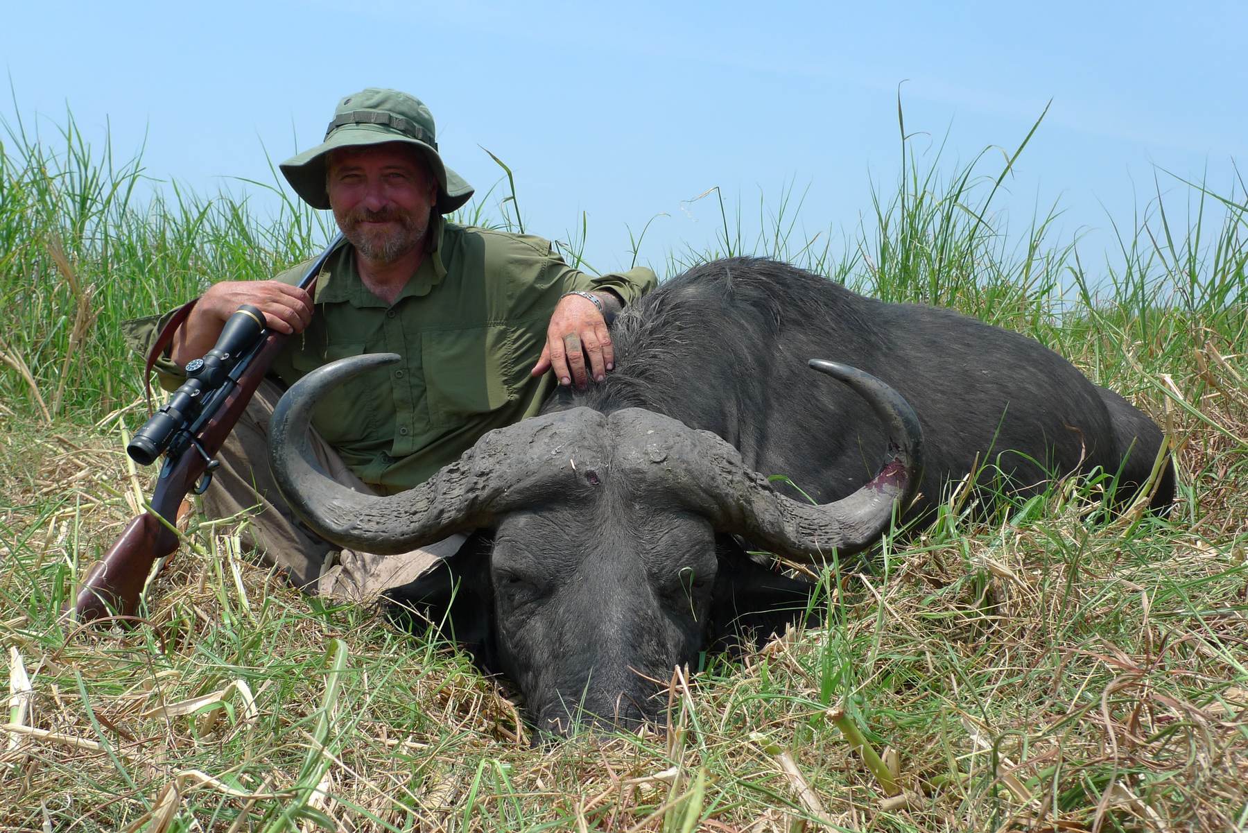 Hunting client with his rifle and a Cape buffalo bull, Zambezi Delta, Mozambique