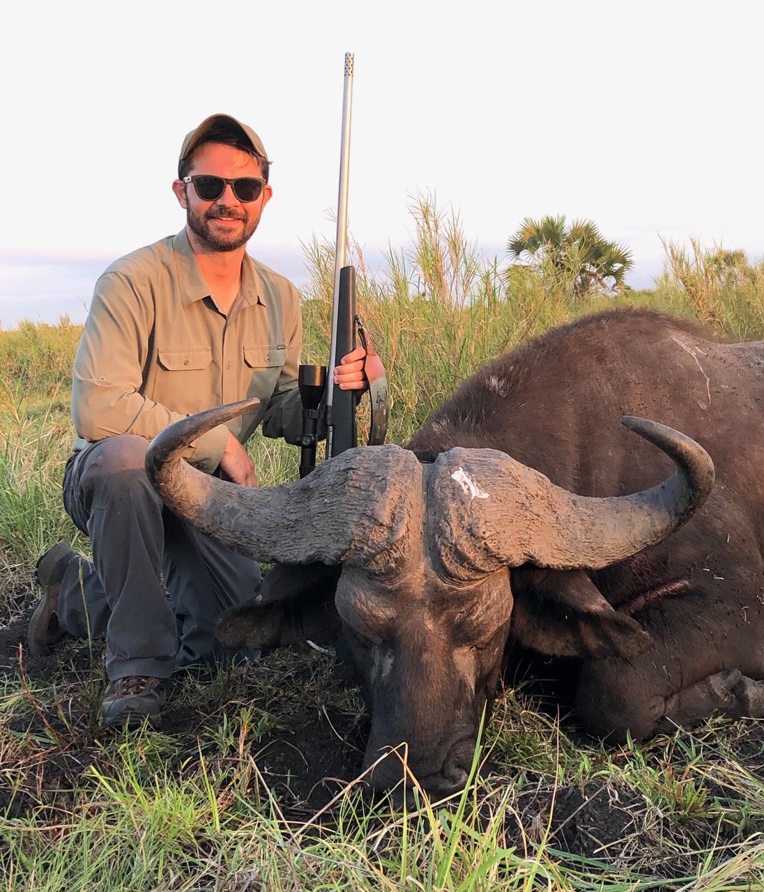 Hunter with rifle beside a Cape buffalo bull under Delta palms, Mozambique