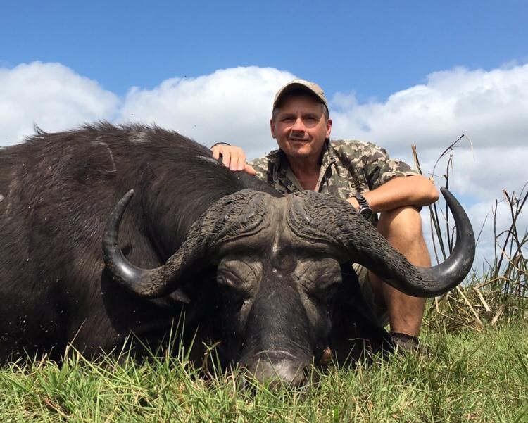 Hunting client seated behind a Cape buffalo bull in Delta grass, Mozambique