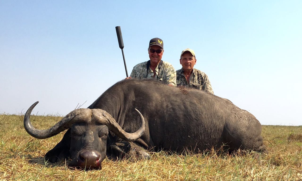 Two hunters behind a Cape buffalo bull taken in the Zambezi Delta, Mozambique