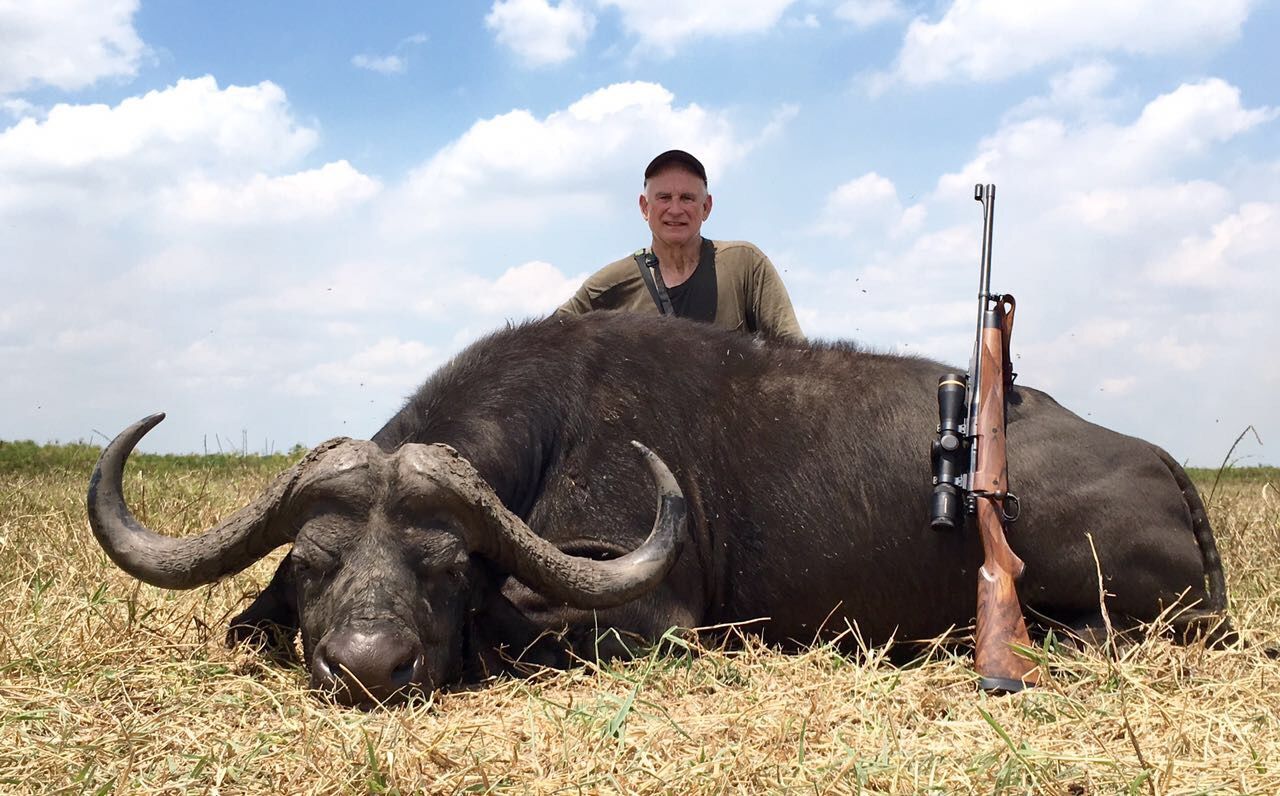 Hunter with a Cape buffalo bull on the open floodplain, Zambezi Delta, Mozambique