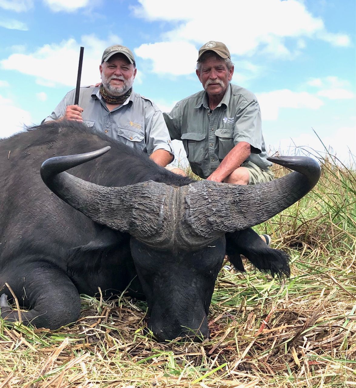 Two hunters with a sweeping-horned Cape buffalo bull, Zambezi Delta, Mozambique