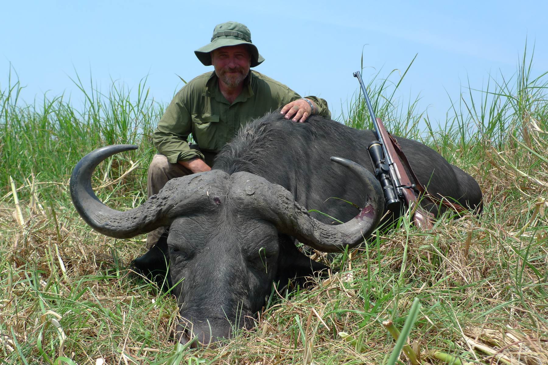 Hunter with a Cape buffalo bull in tall green grass, Zambezi Delta, Mozambique