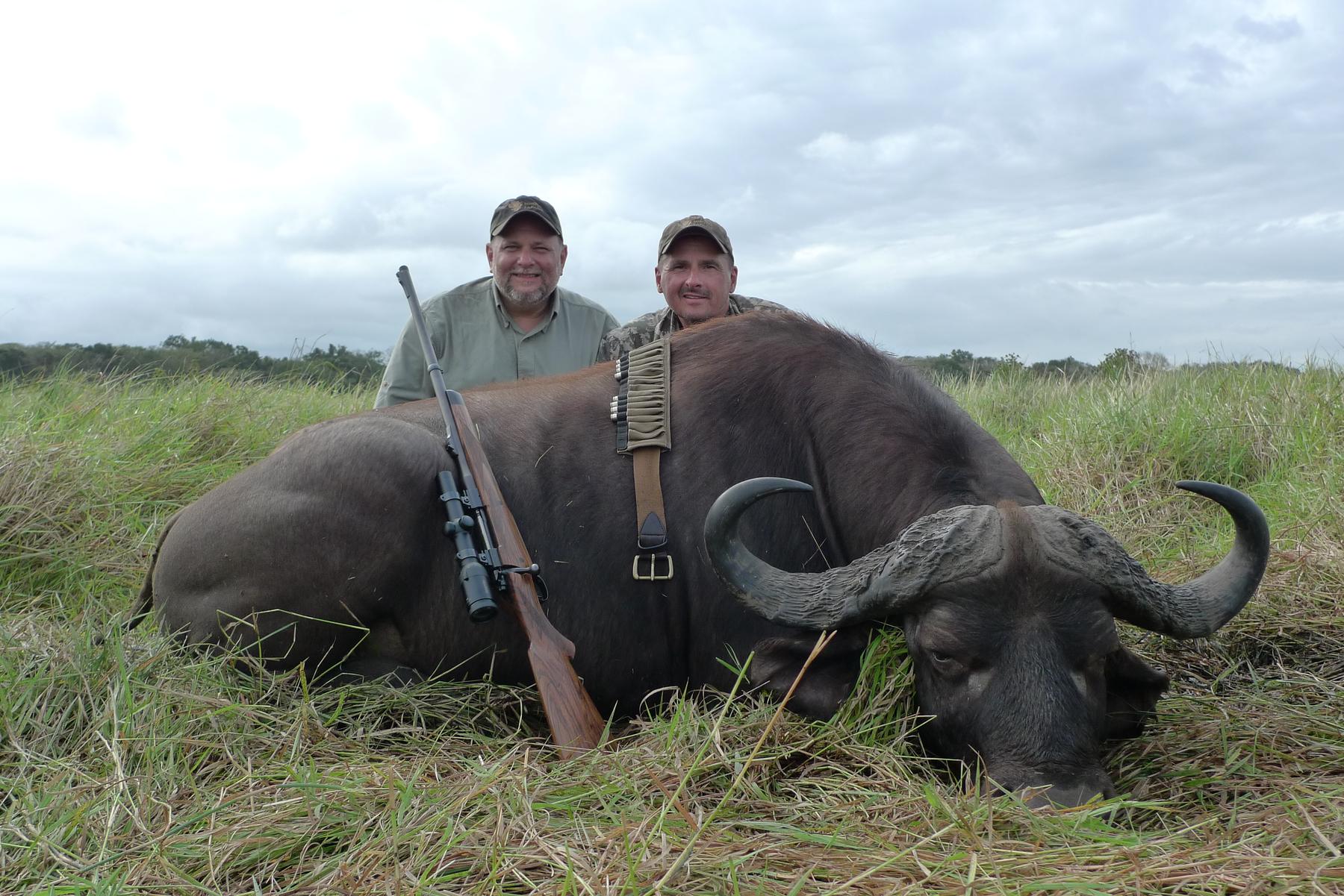 Two hunters with a Cape buffalo bull in green Delta grass, Mozambique
