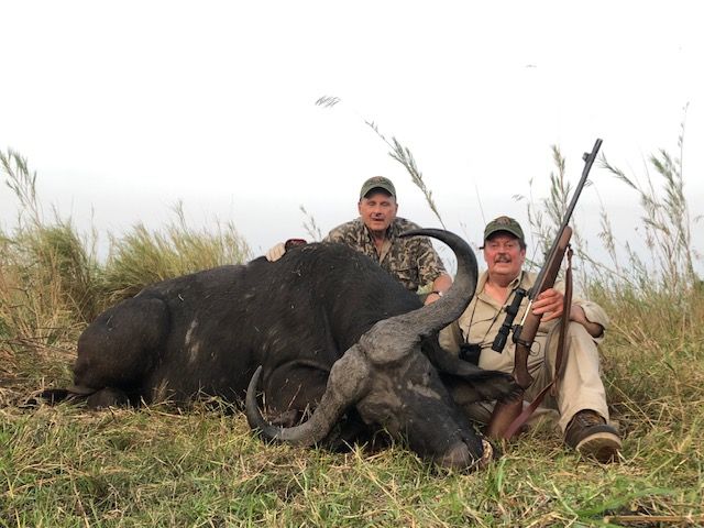 Two hunters with a Cape buffalo bull taken in the Zambezi Delta, Mozambique
