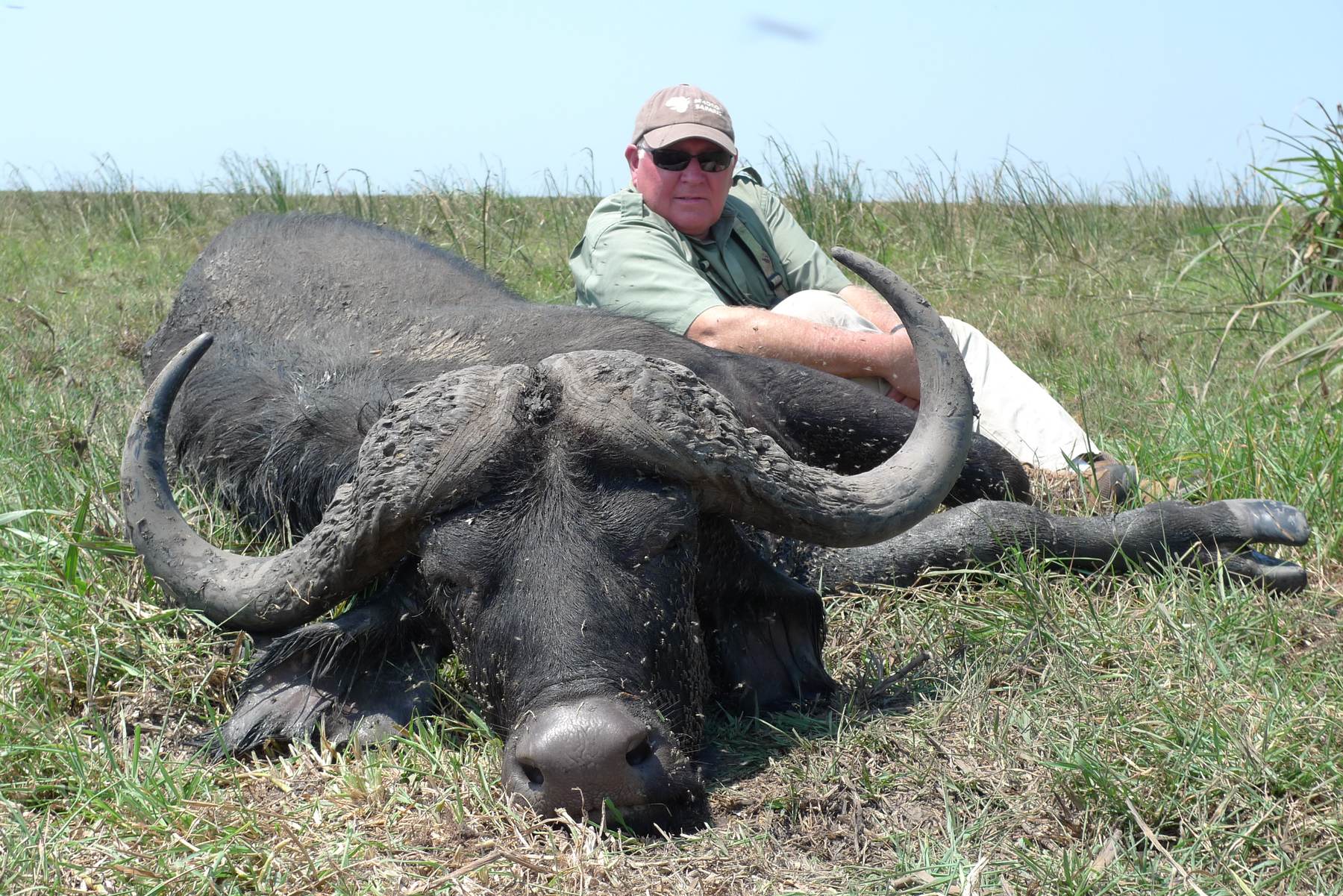 Hunter with a wide-sweeping Cape buffalo bull, Zambezi Delta, Mozambique