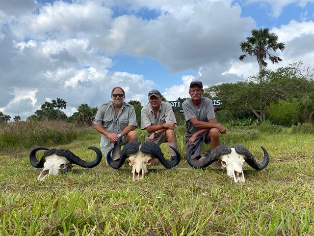Three hunting clients with three Cape buffalo skulls taken on the same safari in the Zambezi Delta, Mozambique