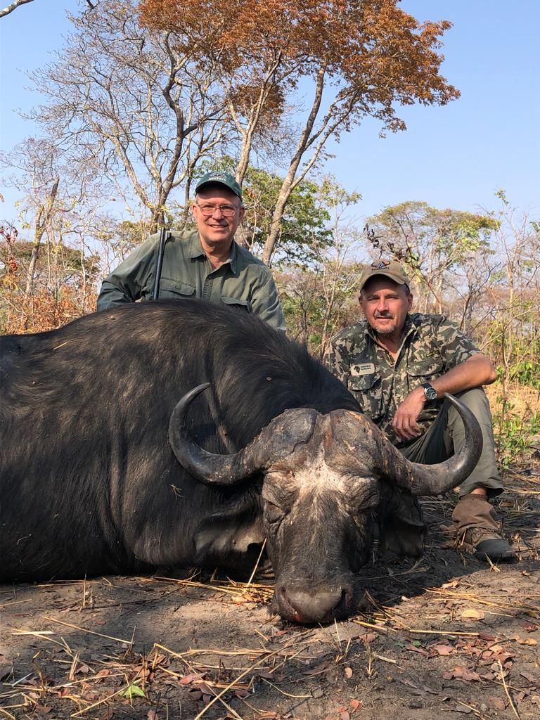 Hunting client and professional hunter with a Cape buffalo bull in autumn woodland, Zimbabwe