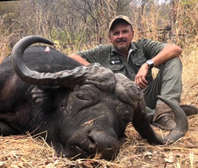 Hunting client seated beside a Cape buffalo bull taken in Zimbabwe
