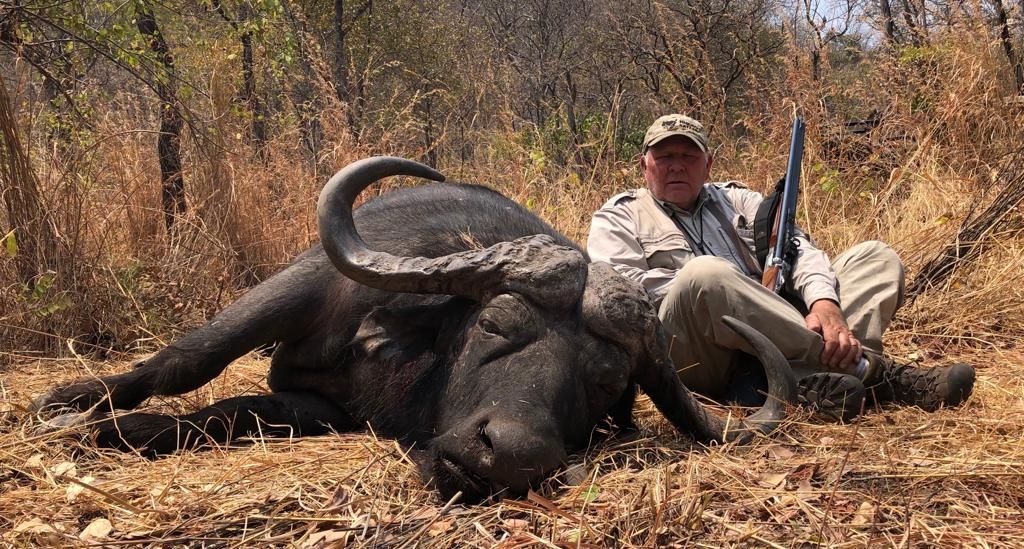 Hunting client seated with a Cape buffalo bull in dry grass, Zimbabwe