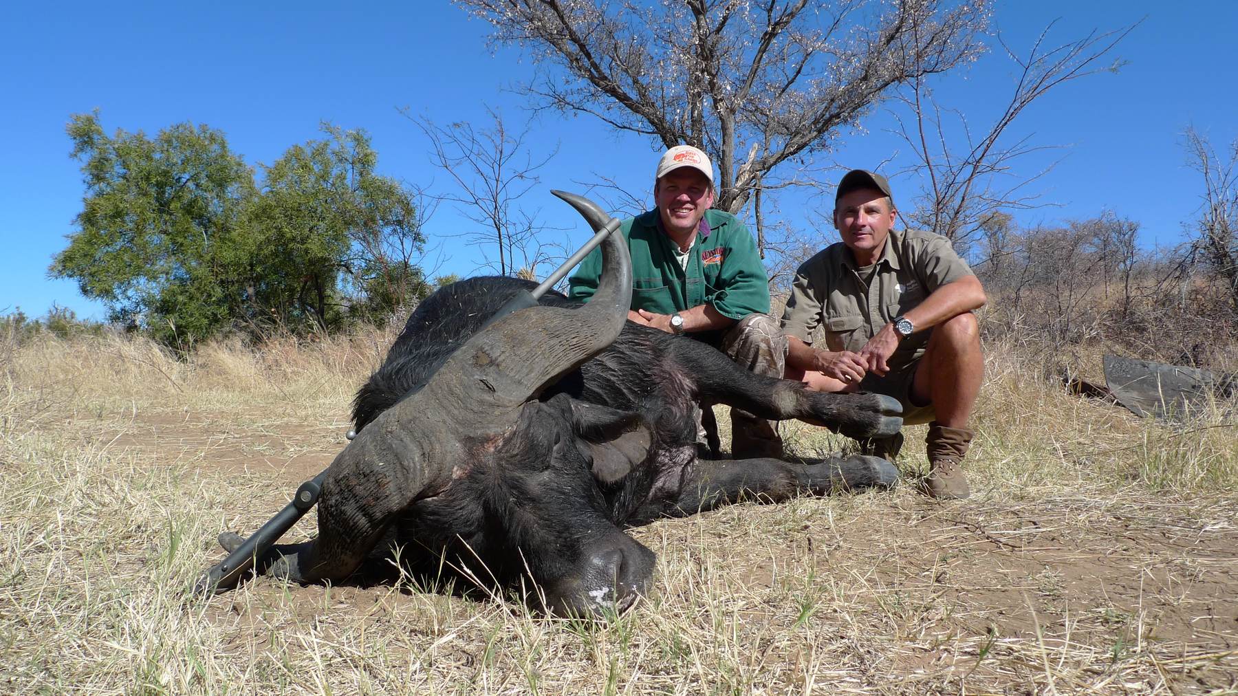Hunting client and professional hunter with a Cape buffalo bull taken in Zimbabwe