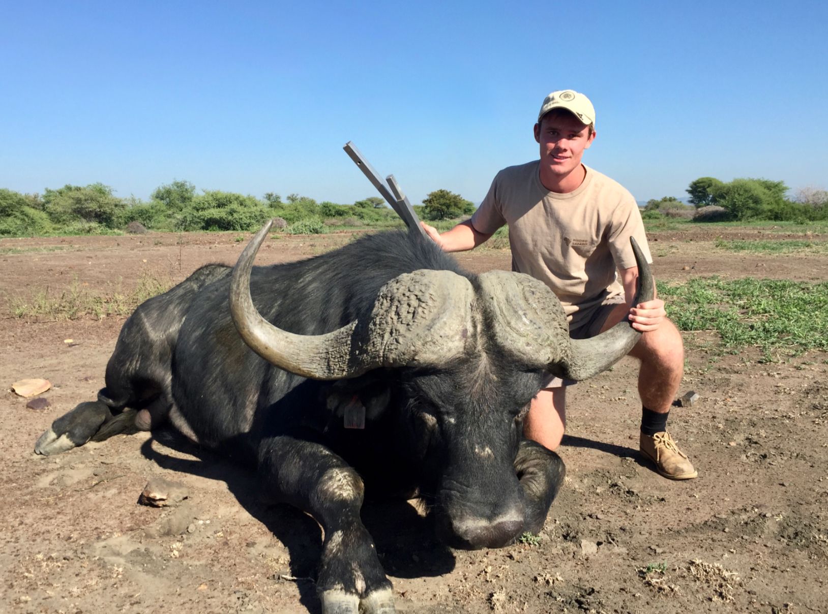 Hunting client with a Cape buffalo bull taken on open ground in Zimbabwe