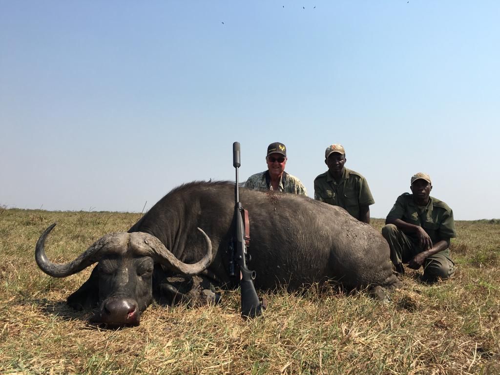 Cape buffalo bull with the hunting and tracking team in Zimbabwe