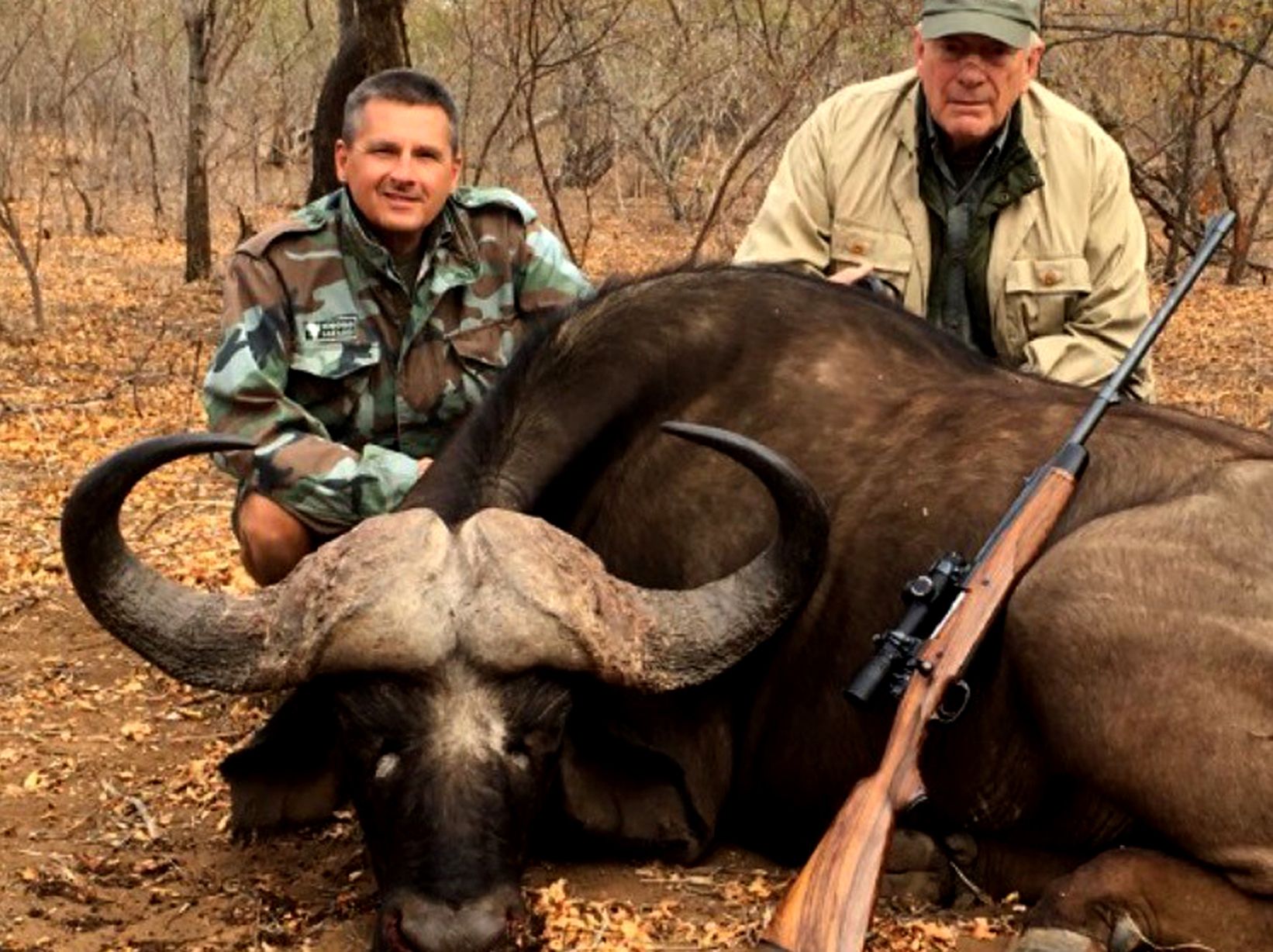 Two hunters with a Cape buffalo bull on dry leaf litter, Zimbabwe