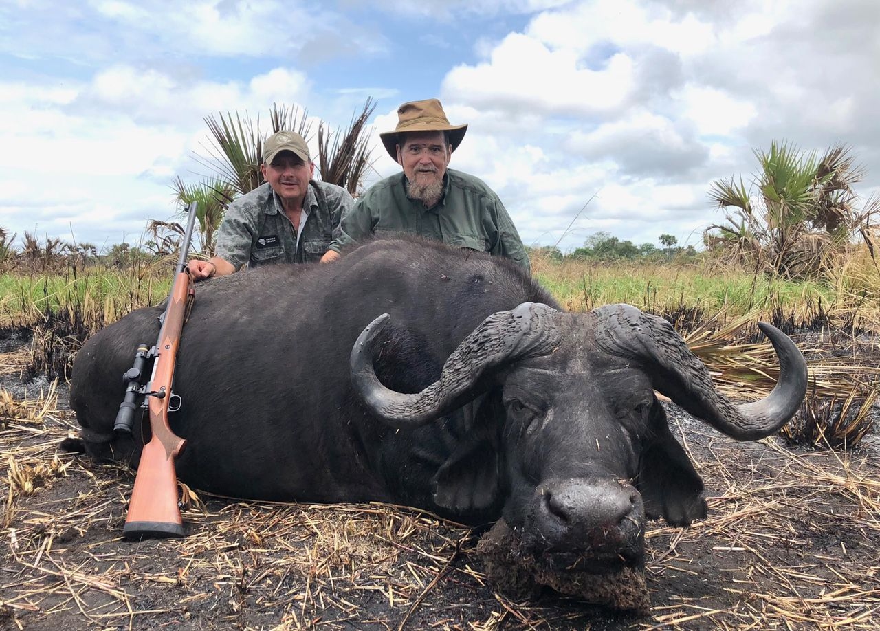 Two hunters with a Cape buffalo bull taken in Zimbabwe