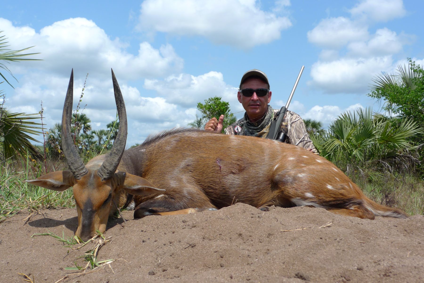 Hunting client with a bushbuck ram taken in palm savanna, Zambezi Delta, Mozambique