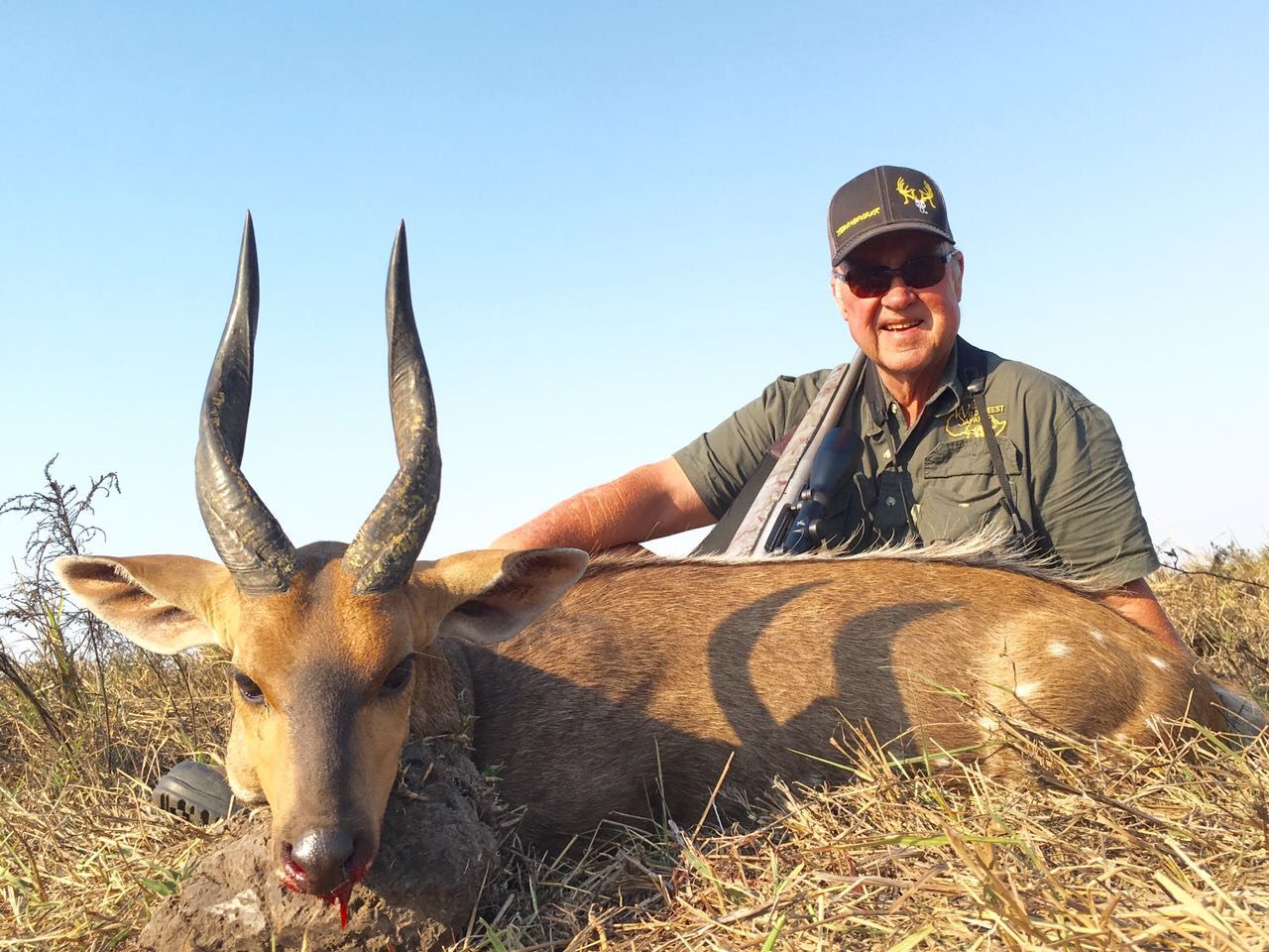 Hunter with a bushbuck ram showing its striped coat, Limpopo, South Africa