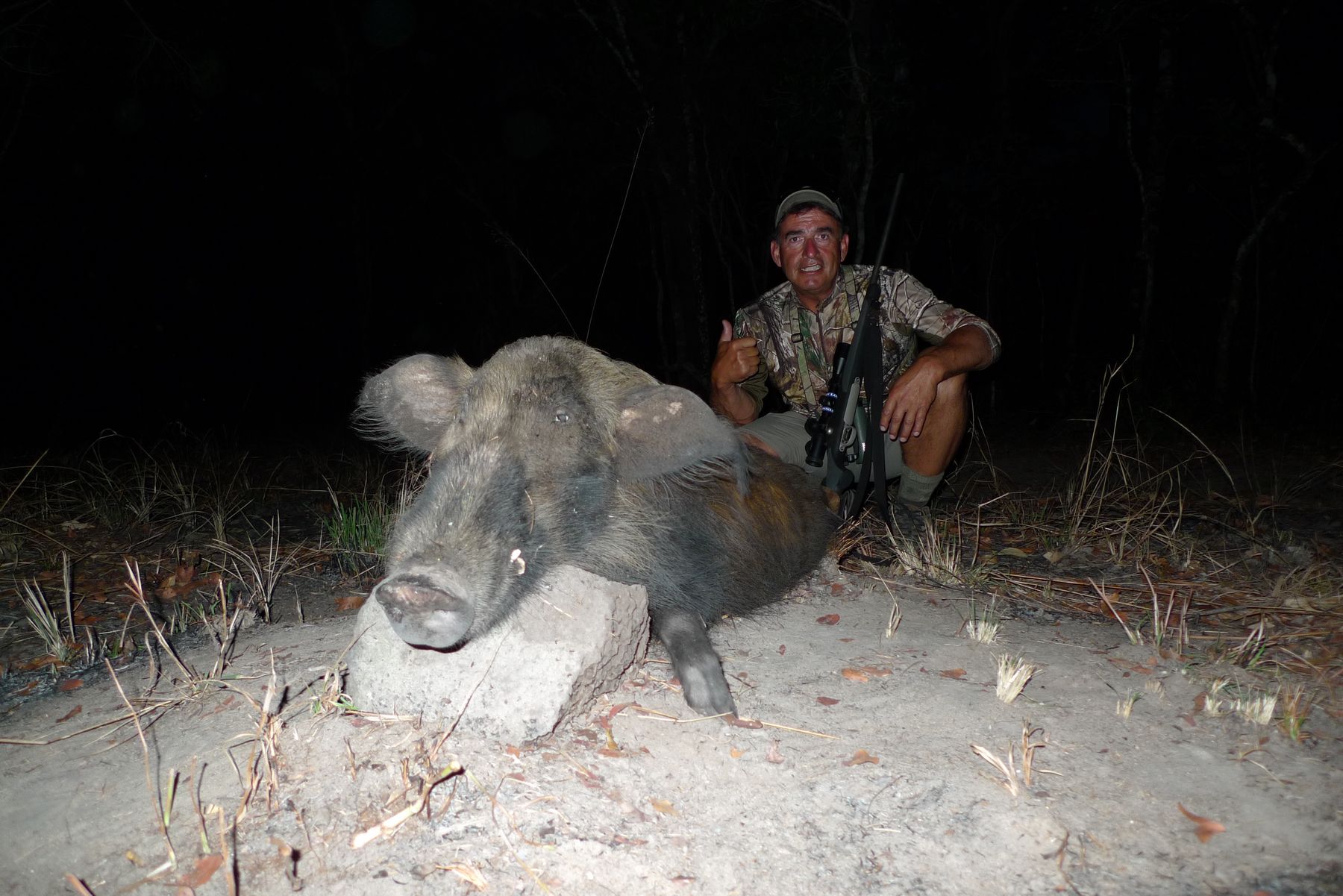 Night hunting blind set up over a bushpig bait, South Africa
