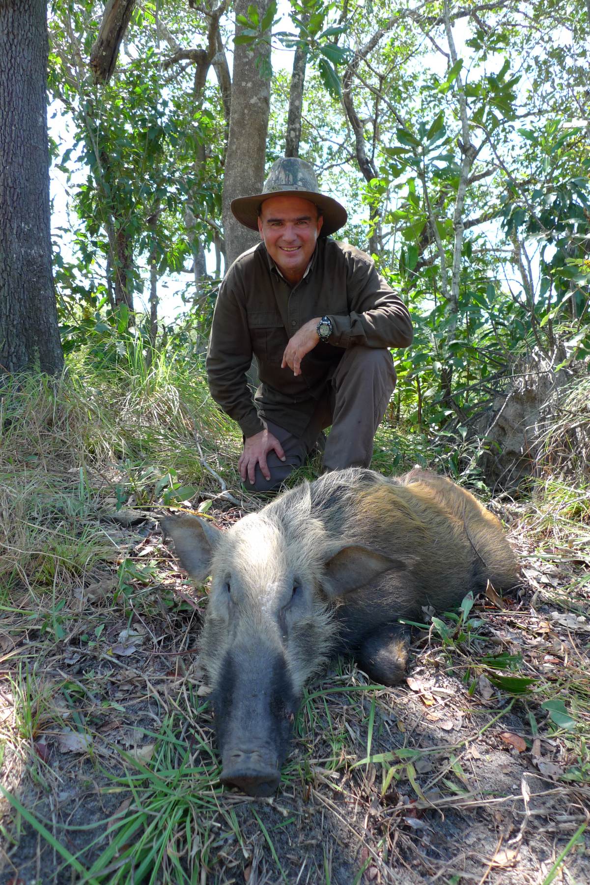 Hunter with a bushpig boar taken in Limpopo woodland, South Africa