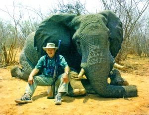 Hunting client seated between the tusks of an elephant bull taken in Zimbabwe