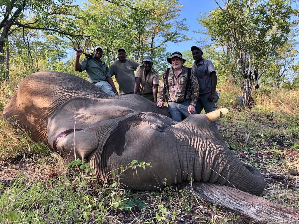 Hunting client with the full tracking team and an elephant bull, Zimbabwe