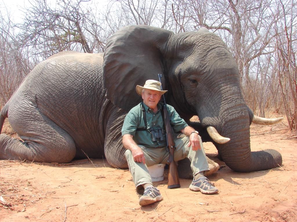 Hunting client with his rifle beside an elephant bull, Zimbabwe
