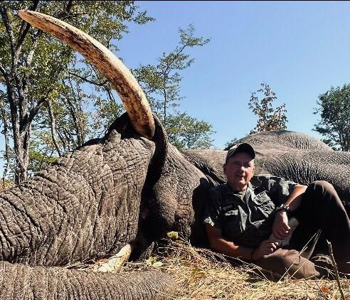 Hunting client seated beside an elephant bull with a long curved tusk, Zimbabwe