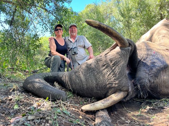 Two hunting clients with an elephant bull taken in Zimbabwe