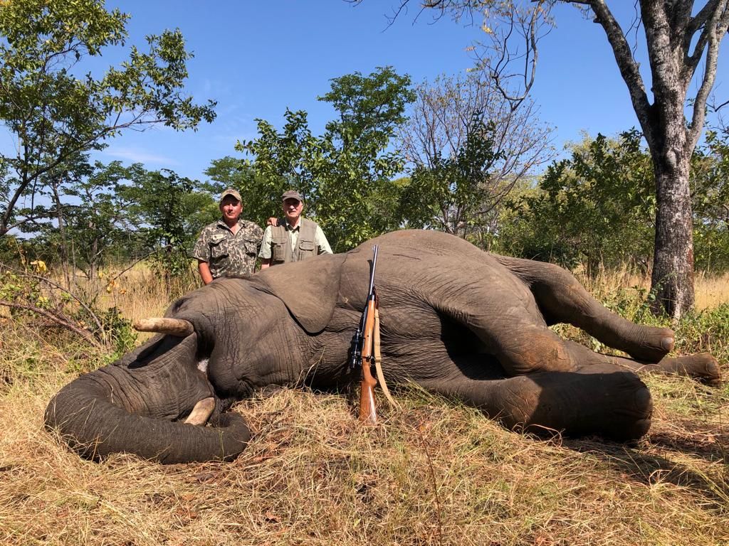 Hunting client and professional hunter with an elephant bull, Zimbabwe