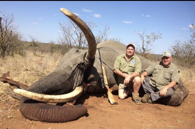 Two hunters with an elephant bull taken in Zimbabwe