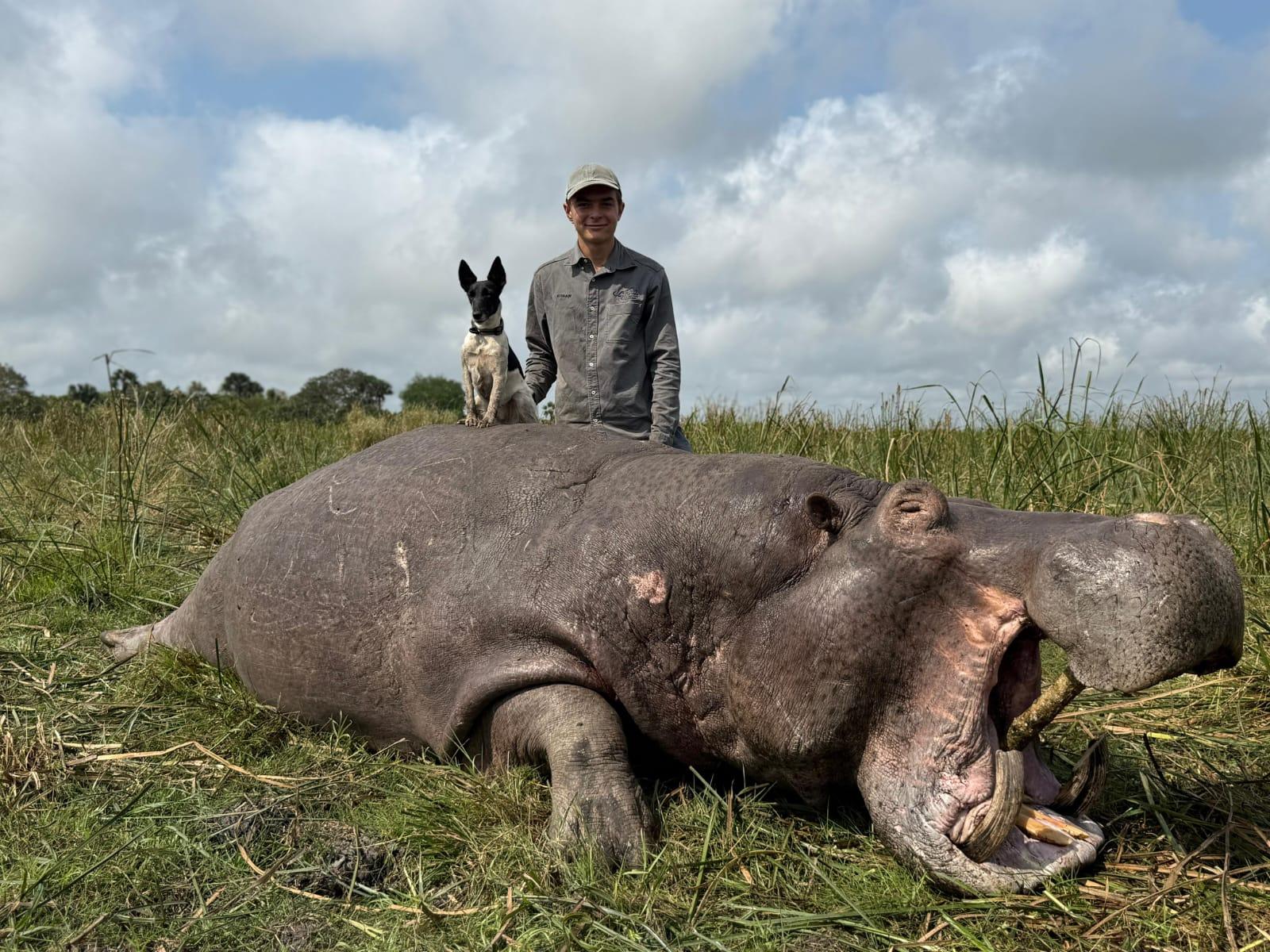 Hunting client with a hippo bull taken on the riverbank, Zimbabwe